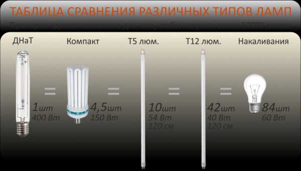 Какие лампы подходят для выращивания растений Какие лампы подходят для выращивания растений